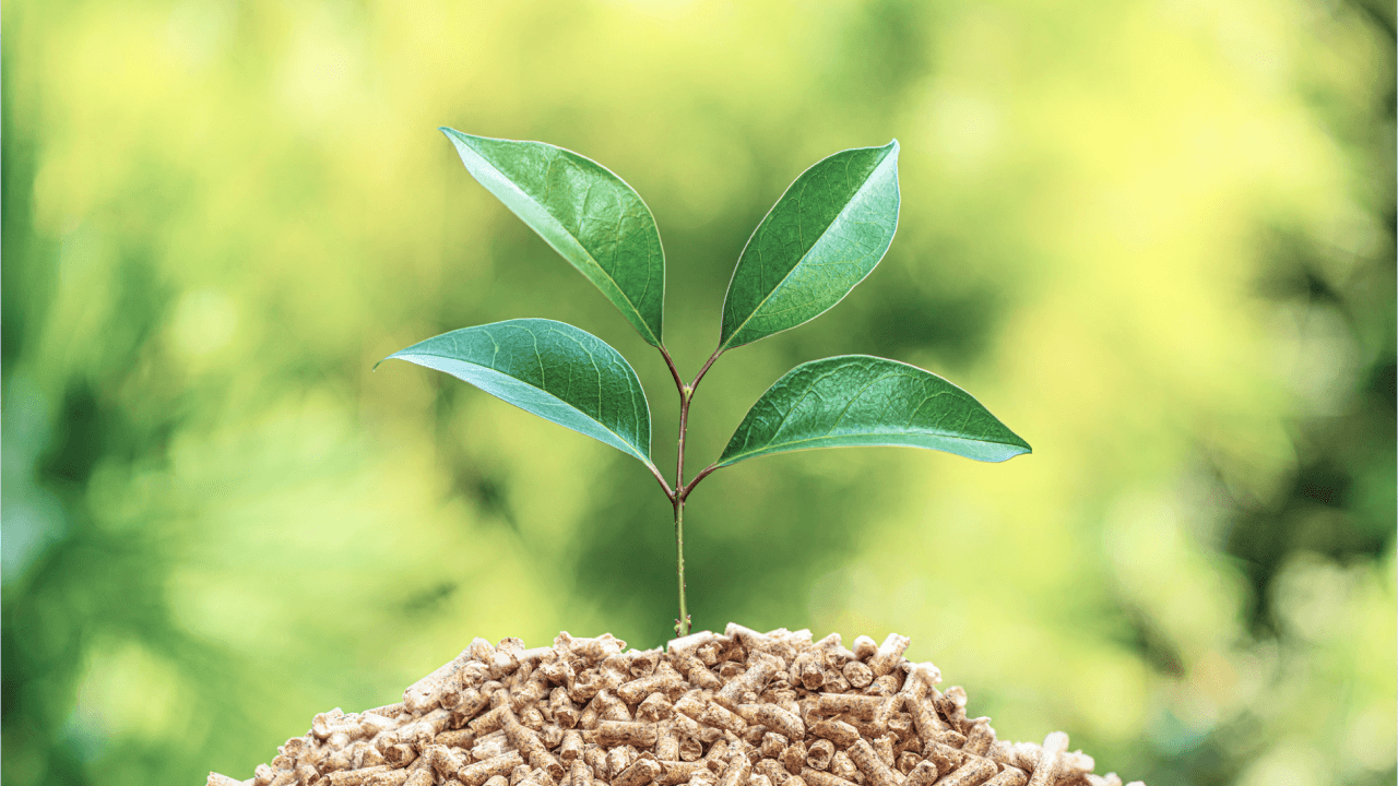 バイオマス発電が注目を集めている理由とは? 特徴・メリット、関連おすすめ製品をご紹介