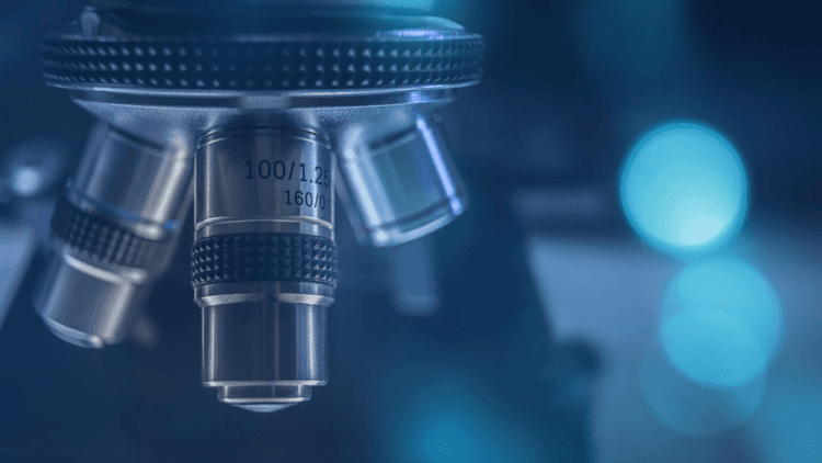 光学顕微鏡とは|種類・用途例・選定のポイントを解説