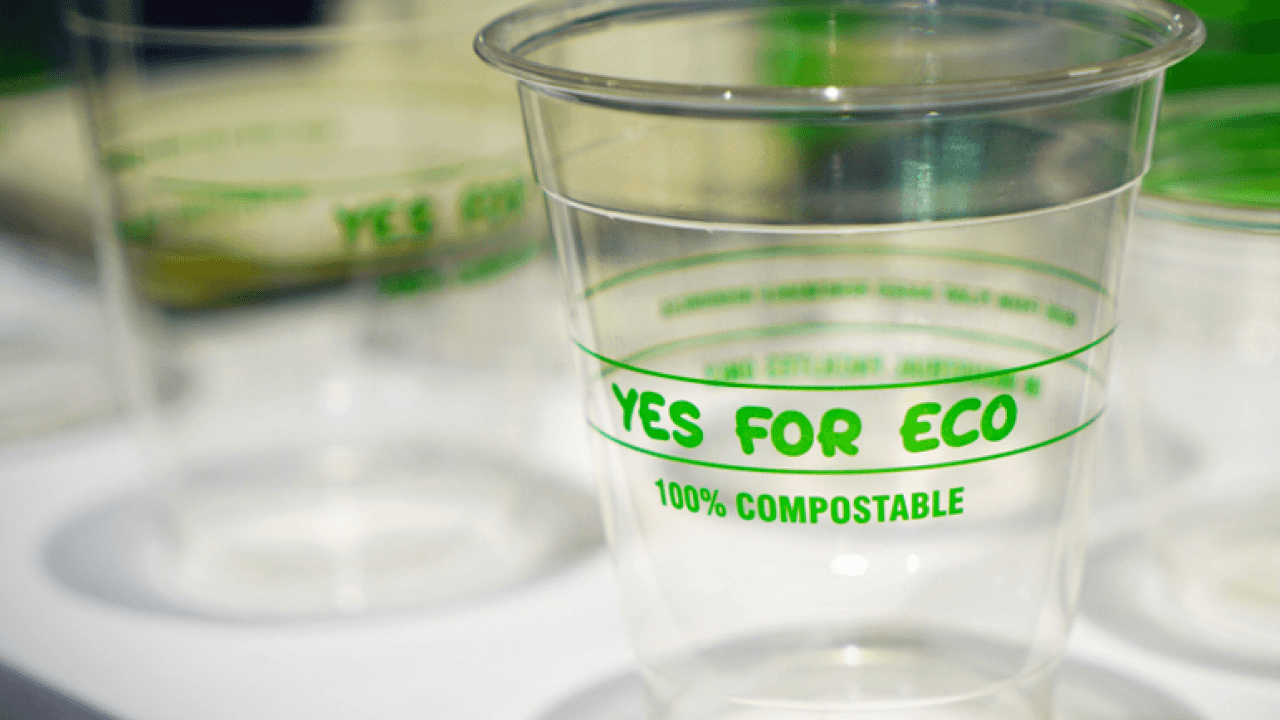 バイオマスプラスチックとは? 種類や特徴、おすすめの関連製品についてご紹介します