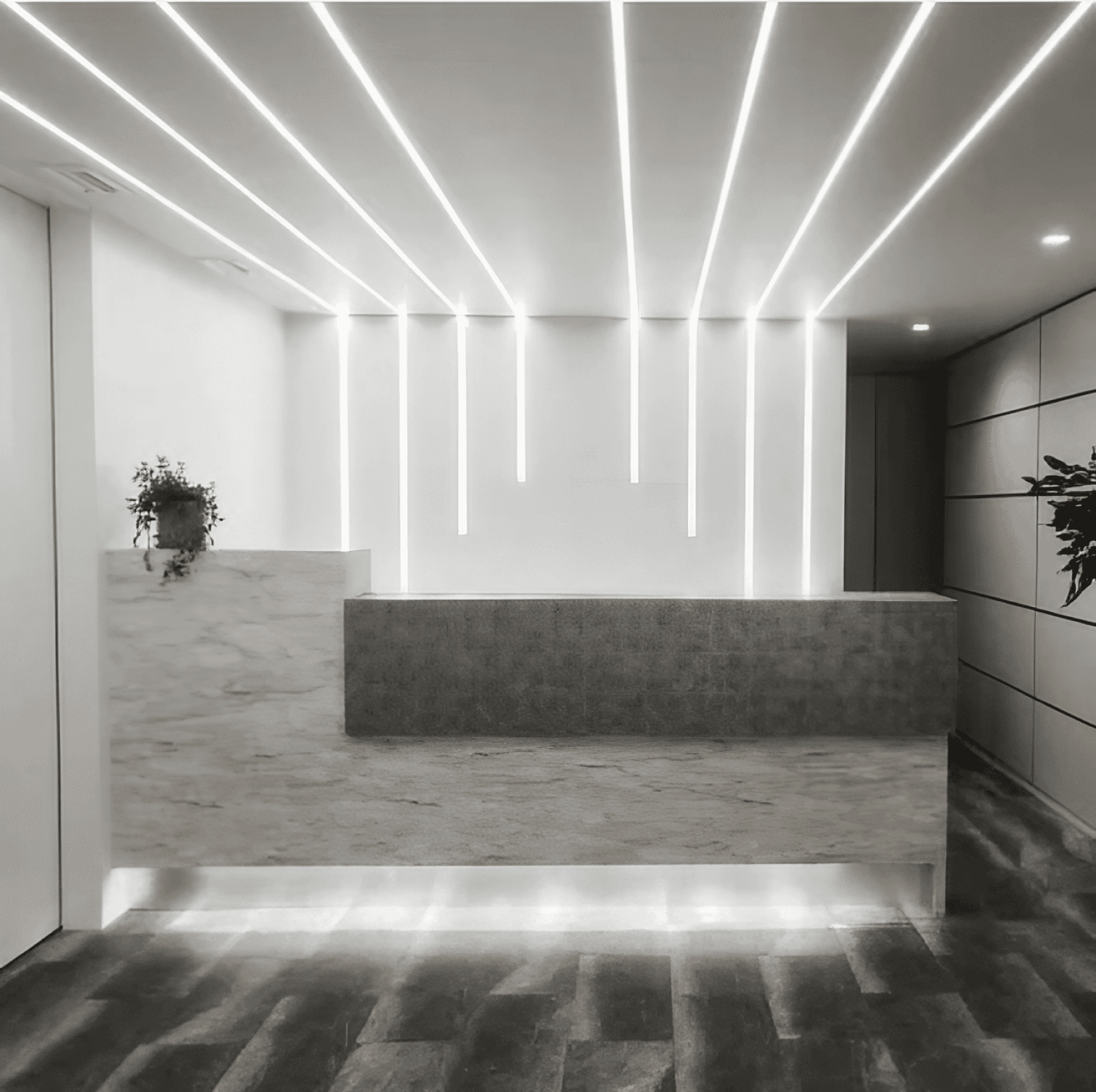 トミサワ バーライト